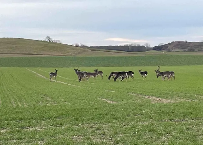 Spacious Near The Nyaraló *