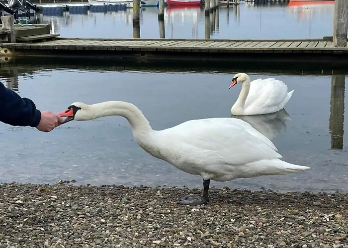 Spacious Near The Nyaraló